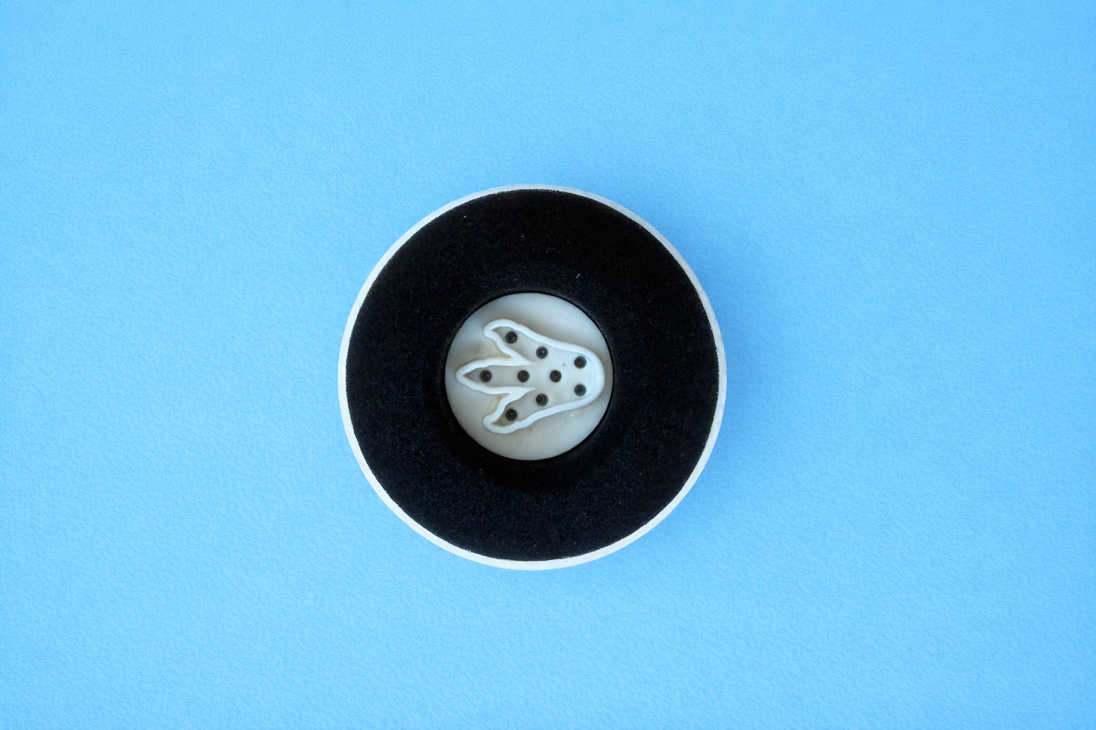 Dinosaur Footprint Stamp