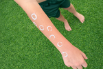 Circle Stamp